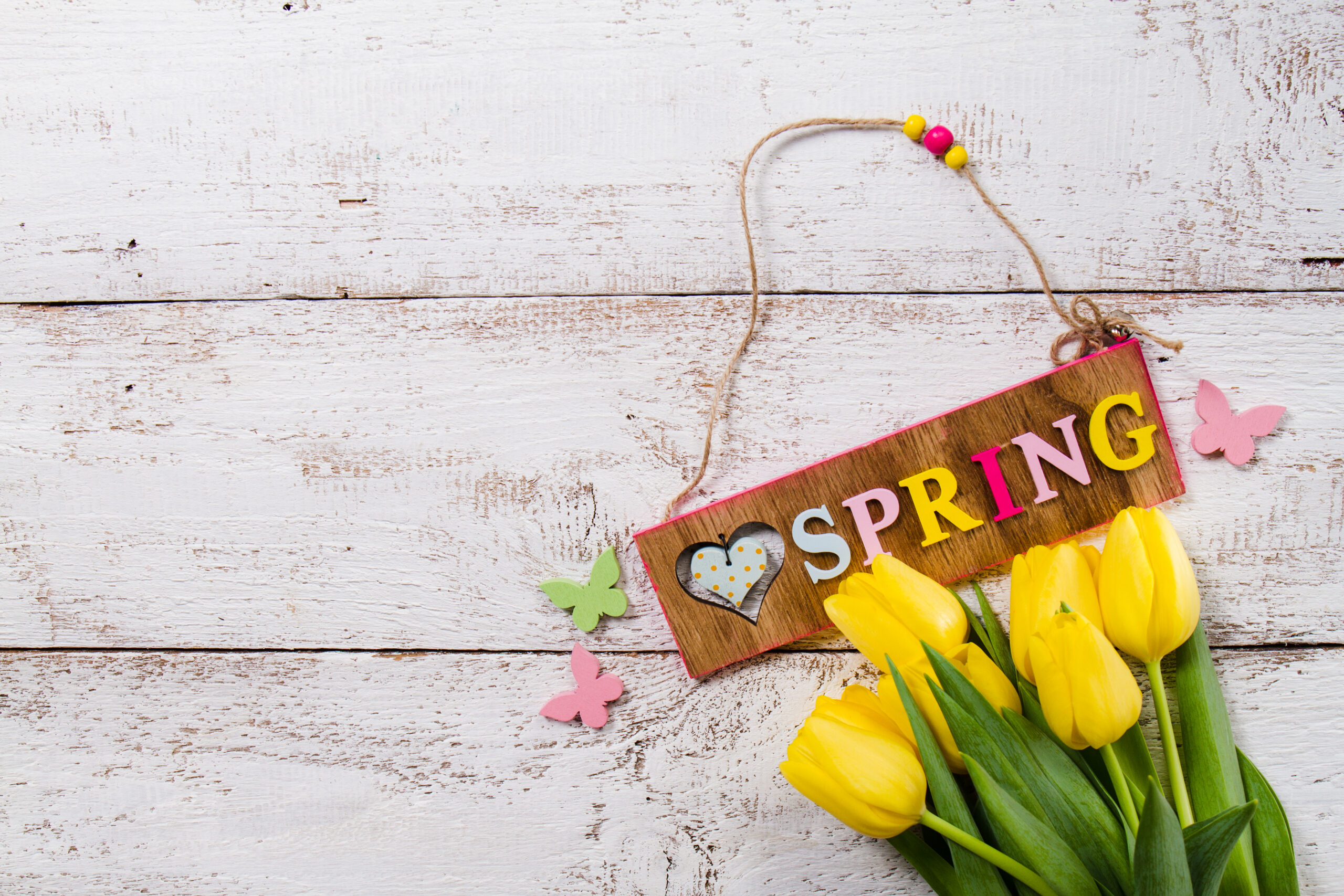 spring-background-with-yellow-tulips