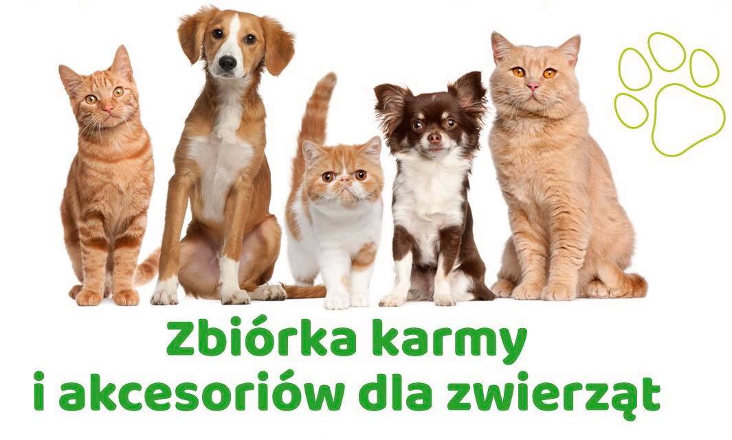 Zbiórka zwierzeta