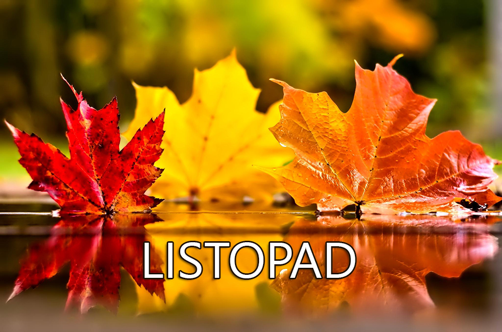 gify listopad