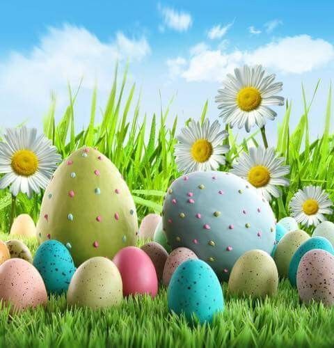 9716cec73d3b09e2ff938c2f8511fe60 (1)