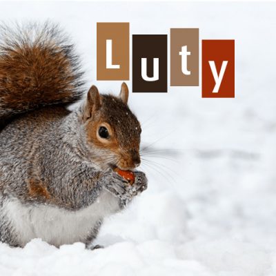 Grafika-luty-400x400